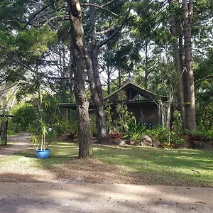 3* Курортный комплекс Rainforest
